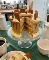 A simple Biscoff cake with cookie butter frosting and cookie crumbles