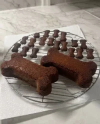 A happy dog sitting next to a freshly baked peanut butter and carrot dog cake