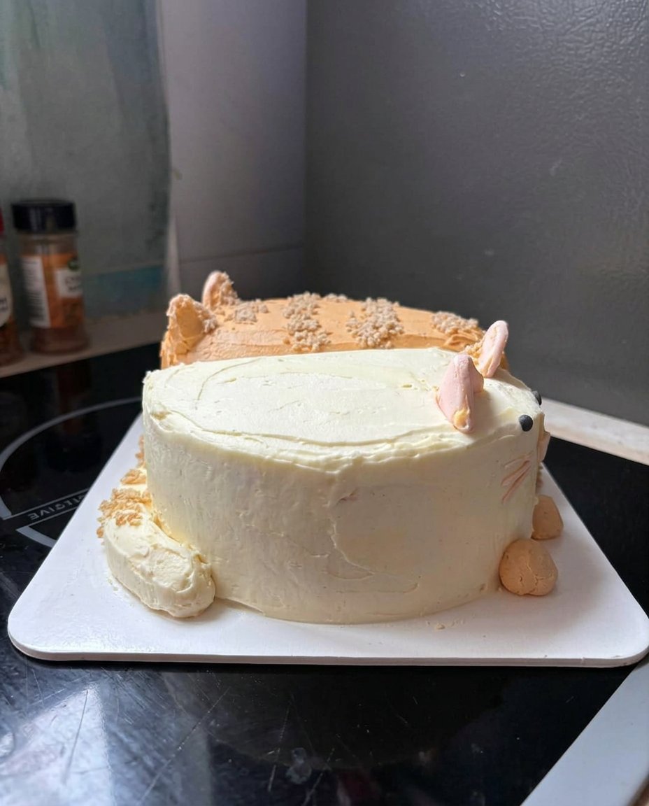 A simple chocolate cat cake with frosting and cereal topping on a kitchen counter