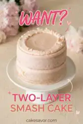 Adorable Two-Layer Smash Cake Ideas for Your Toddler with a Perfect 2 Layer Cake Birthday Design