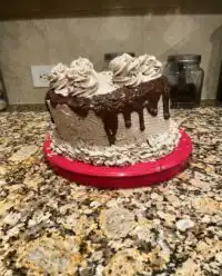 Slices of the softest oreo cookies and cream cake with speckled frosting