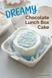 How to Make a Chocolate Lunch Box Cake: Easy One Bowl Bento Cake Recipe Sized for Two People.