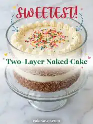 Two-Layer Naked Cake: Elegant Birthday Design Ideas for Your Next Celebration and Party Success!