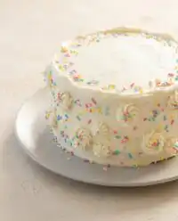 A gorgeous slice of Classic Vanilla Layer Cake showcasing custard filling